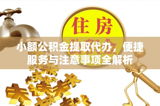 盐埕小额公积金提取代办，便捷服务与注意事项全解析