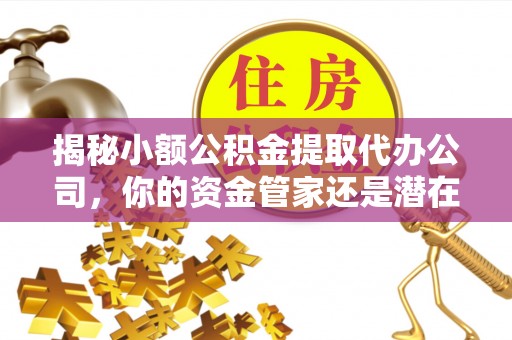 盐埕揭秘小额公积金提取代办公司，你的资金管家还是潜在风险？