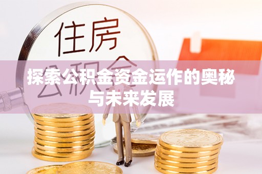 盐埕探索公积金资金运作的奥秘与未来发展