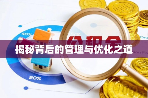 盐埕揭秘背后的管理与优化之道