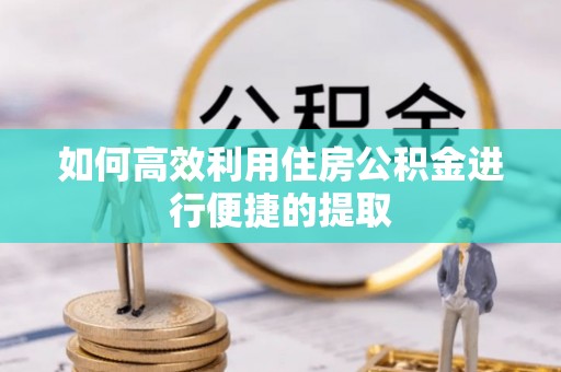 盐埕如何高效利用住房公积金进行便捷的提取