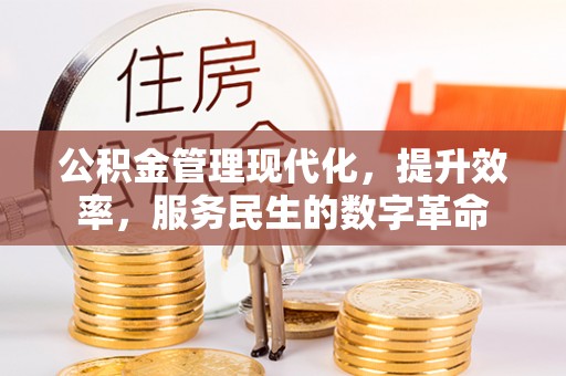 盐埕公积金管理现代化，提升效率，服务民生的数字革命