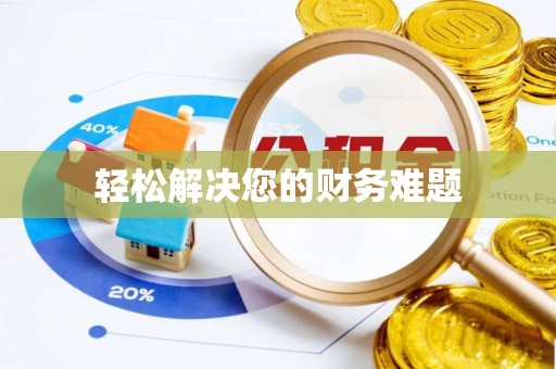盐埕轻松解决您的财务难题