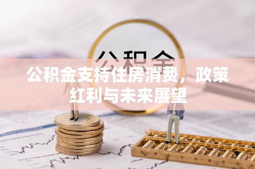 盐埕公积金支持住房消费，政策红利与未来展望