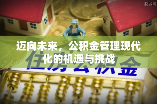 盐埕迈向未来，公积金管理现代化的机遇与挑战