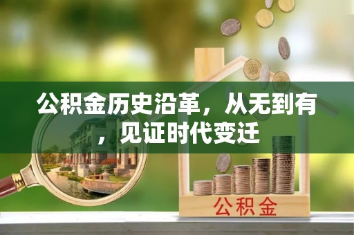 盐埕公积金历史沿革，从无到有，见证时代变迁