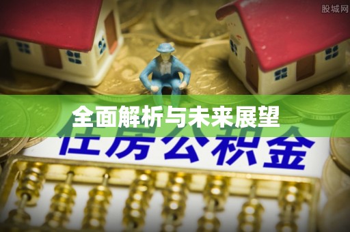 盐埕全面解析与未来展望