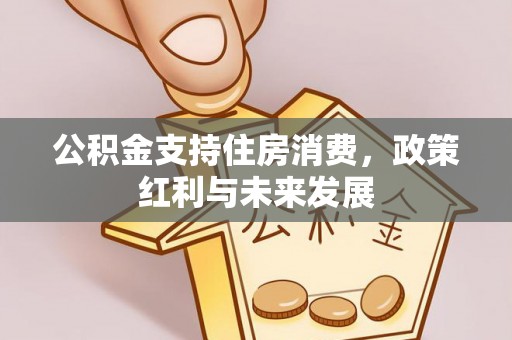 盐埕公积金支持住房消费，政策红利与未来发展