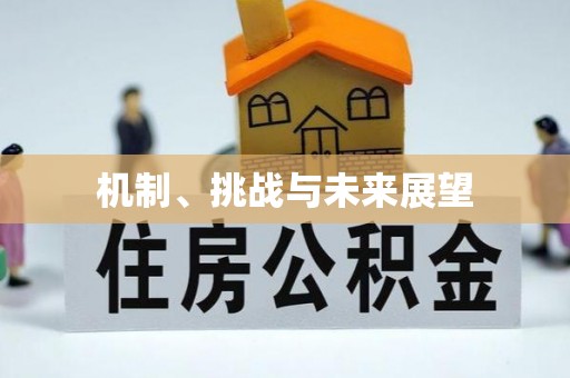 盐埕机制、挑战与未来展望