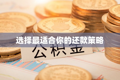盐埕选择最适合你的还款策略