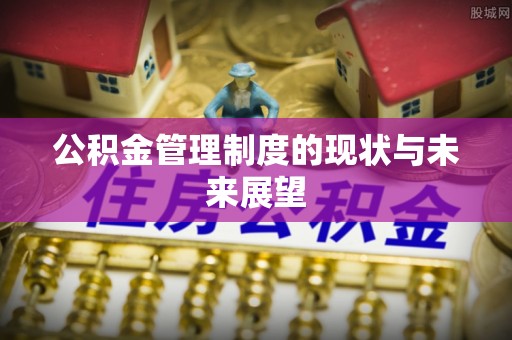 盐埕公积金管理制度的现状与未来展望
