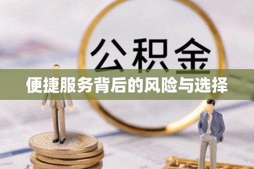 盐埕便捷服务背后的风险与选择