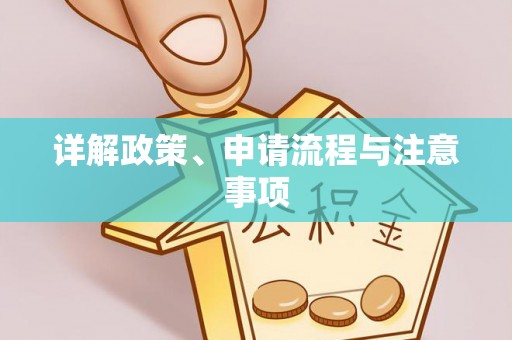 盐埕详解政策、申请流程与注意事项