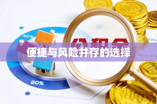 盐埕便捷与风险并存的选择