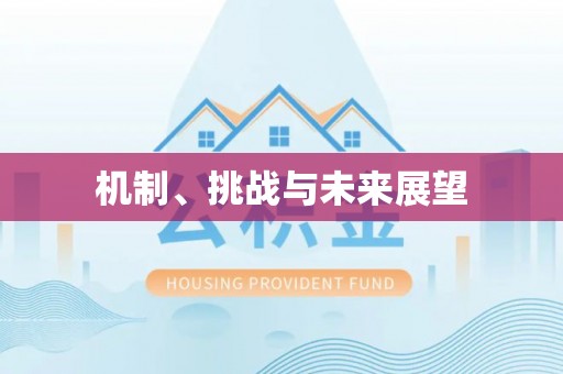 盐埕机制、挑战与未来展望