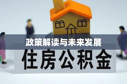盐埕政策解读与未来发展